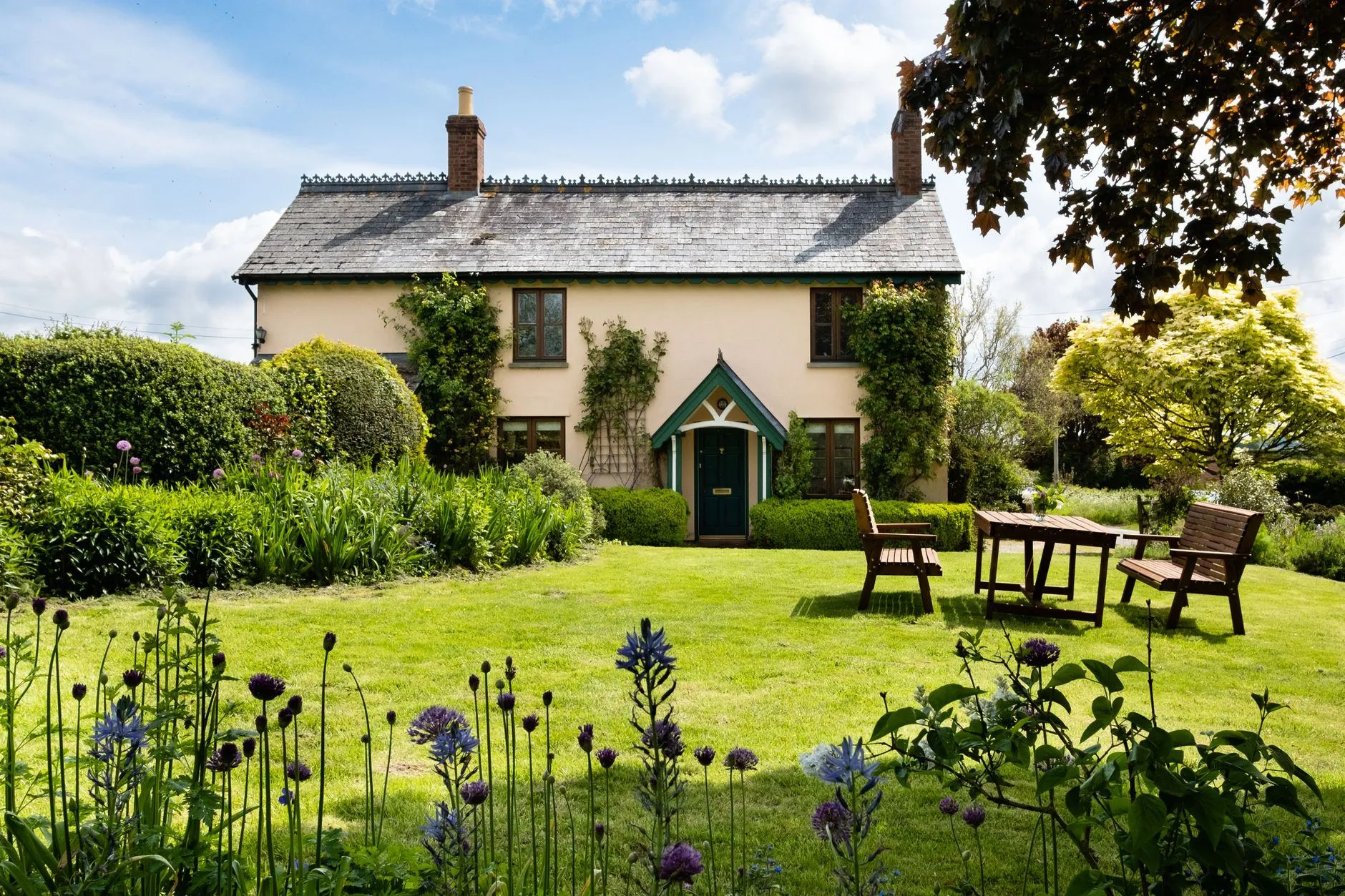 A cream cottage behind a new lawn, with alliums in the foreground and an oak table on the grass