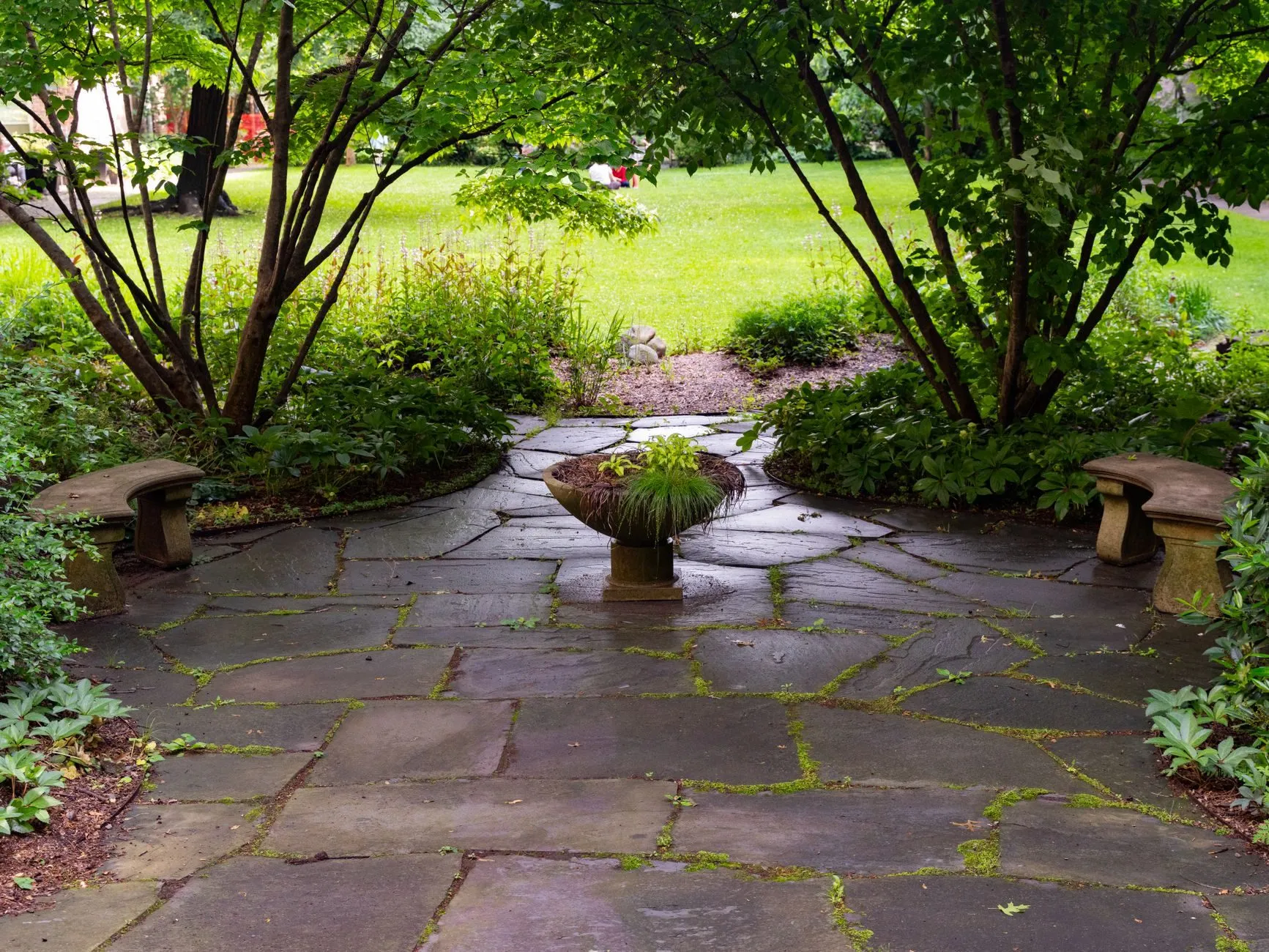 A circular flagstone terrace with two stone benches under multi-stem trees
